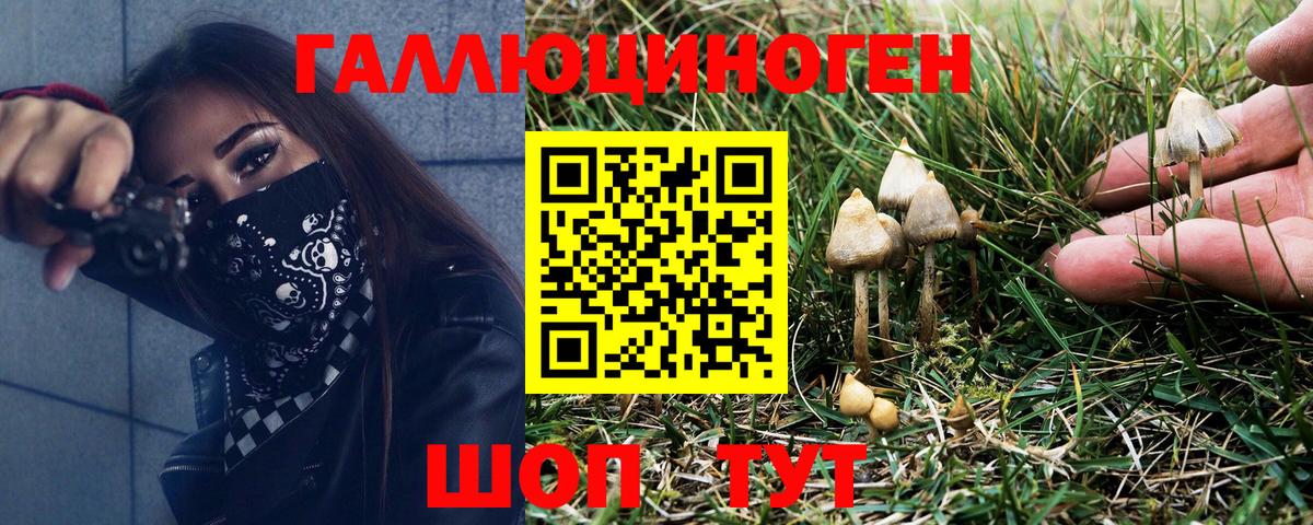Псилоцибиновые грибы Psilocybine cubensis  Псилоцибиновые грибы Magic Shrooms  Вход с VPN  Выкса 